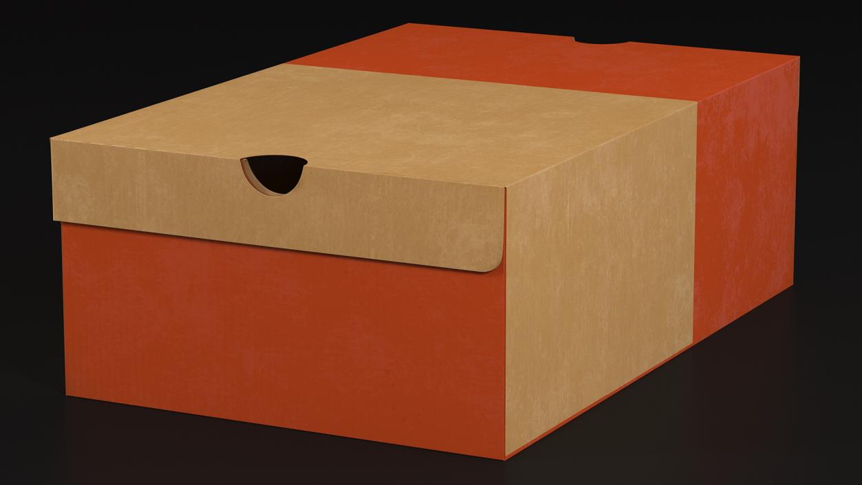 3D model Box for Shoes Closed