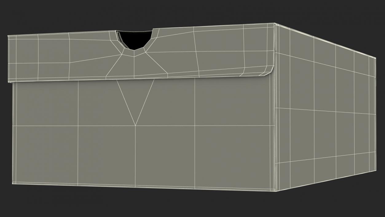 3D model Box for Shoes Closed