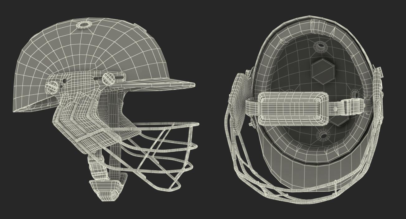 3D model Cricket Helmet Ram Protec