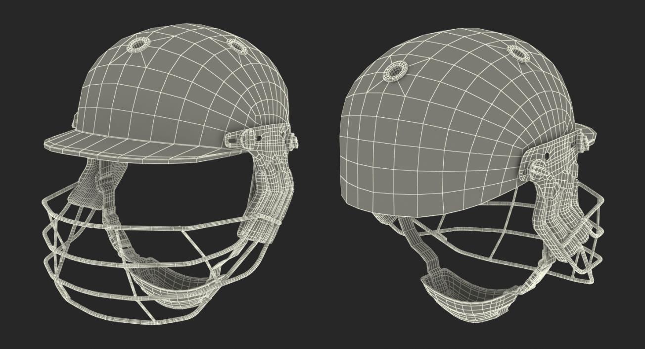 3D model Cricket Helmet Ram Protec