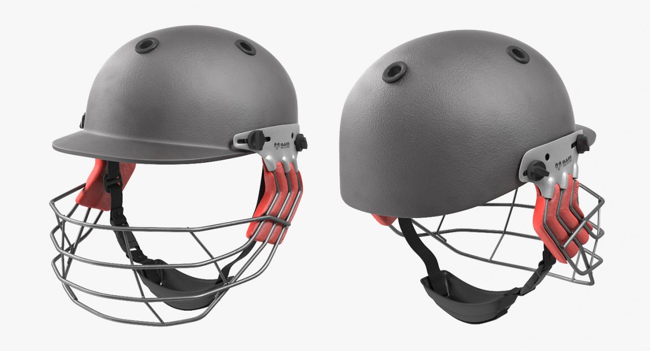 3D model Cricket Helmet Ram Protec