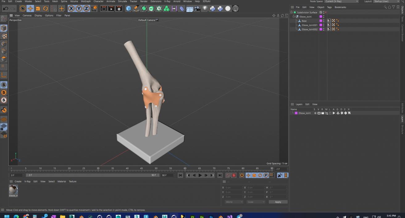 3D Elbow Joint