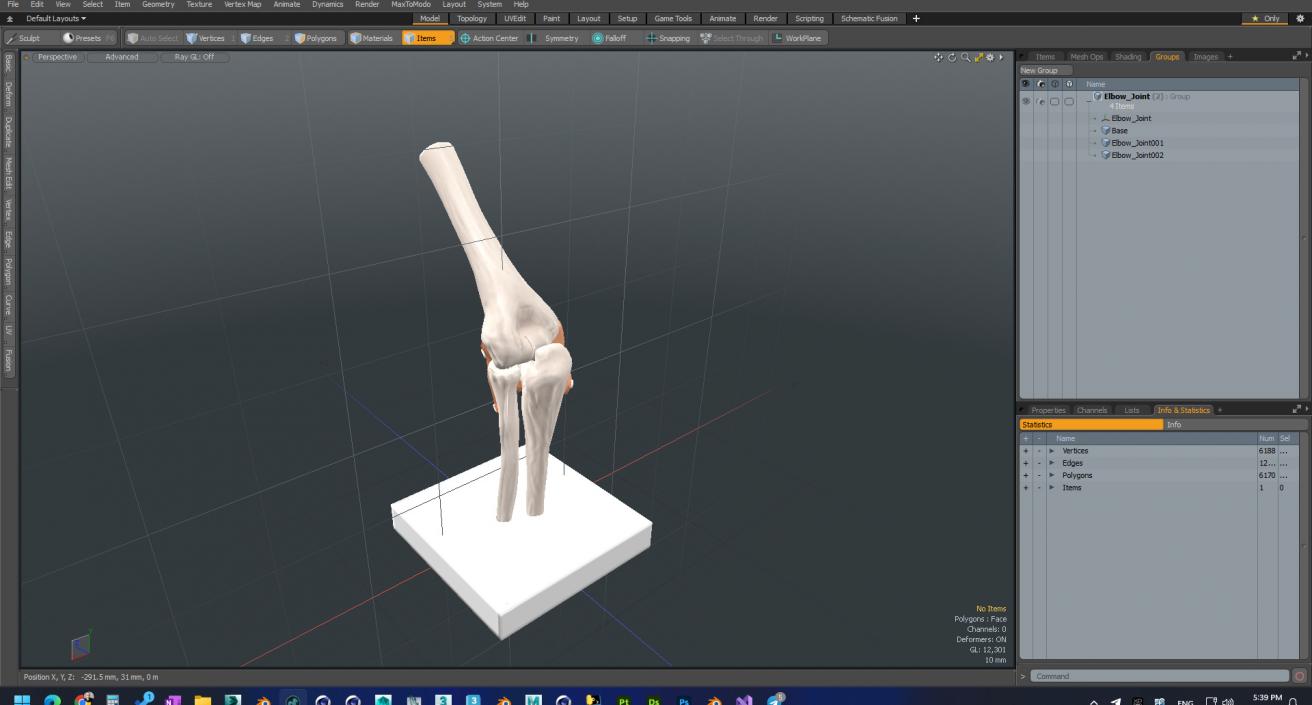 3D Elbow Joint