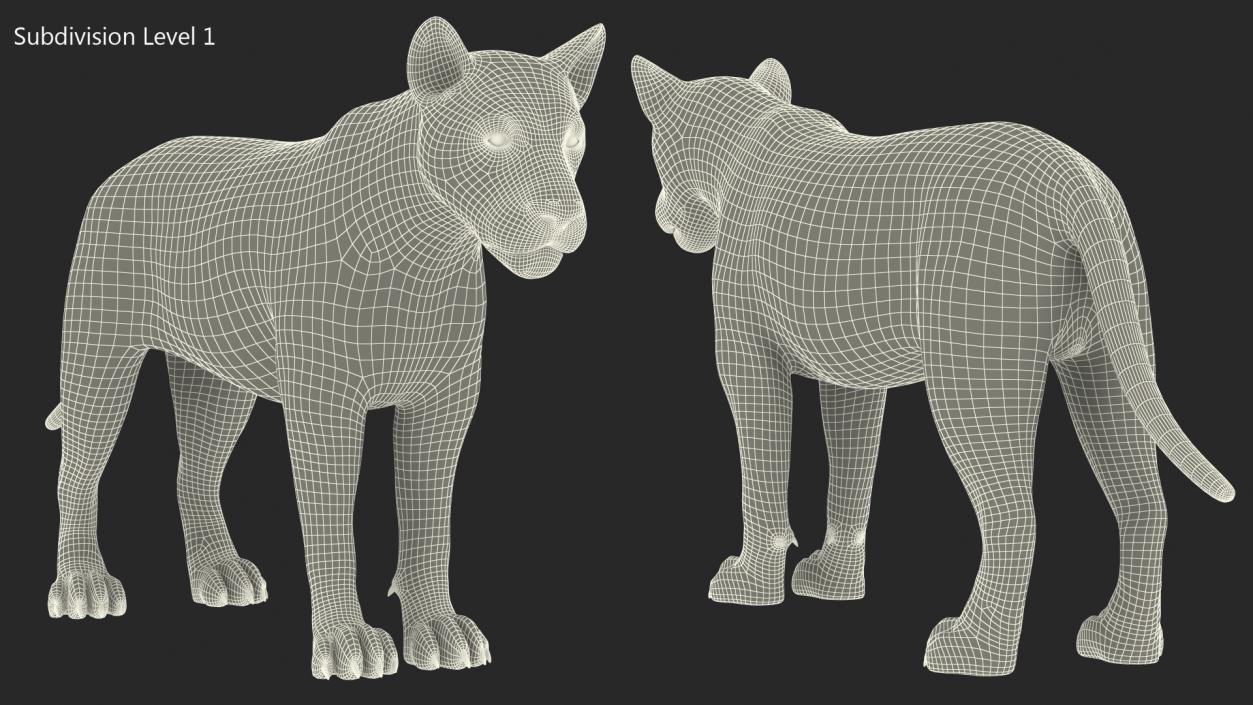 3D model Young Lion