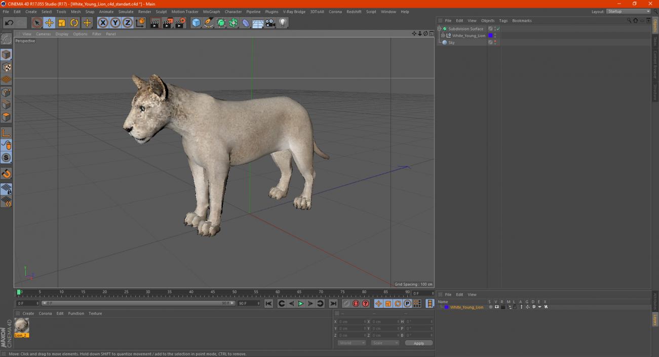 3D model Young Lion