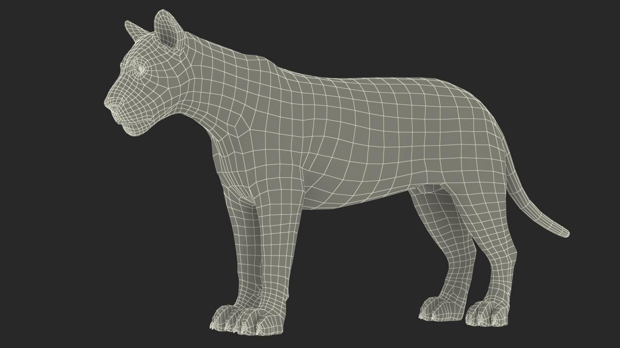 3D model Young Lion