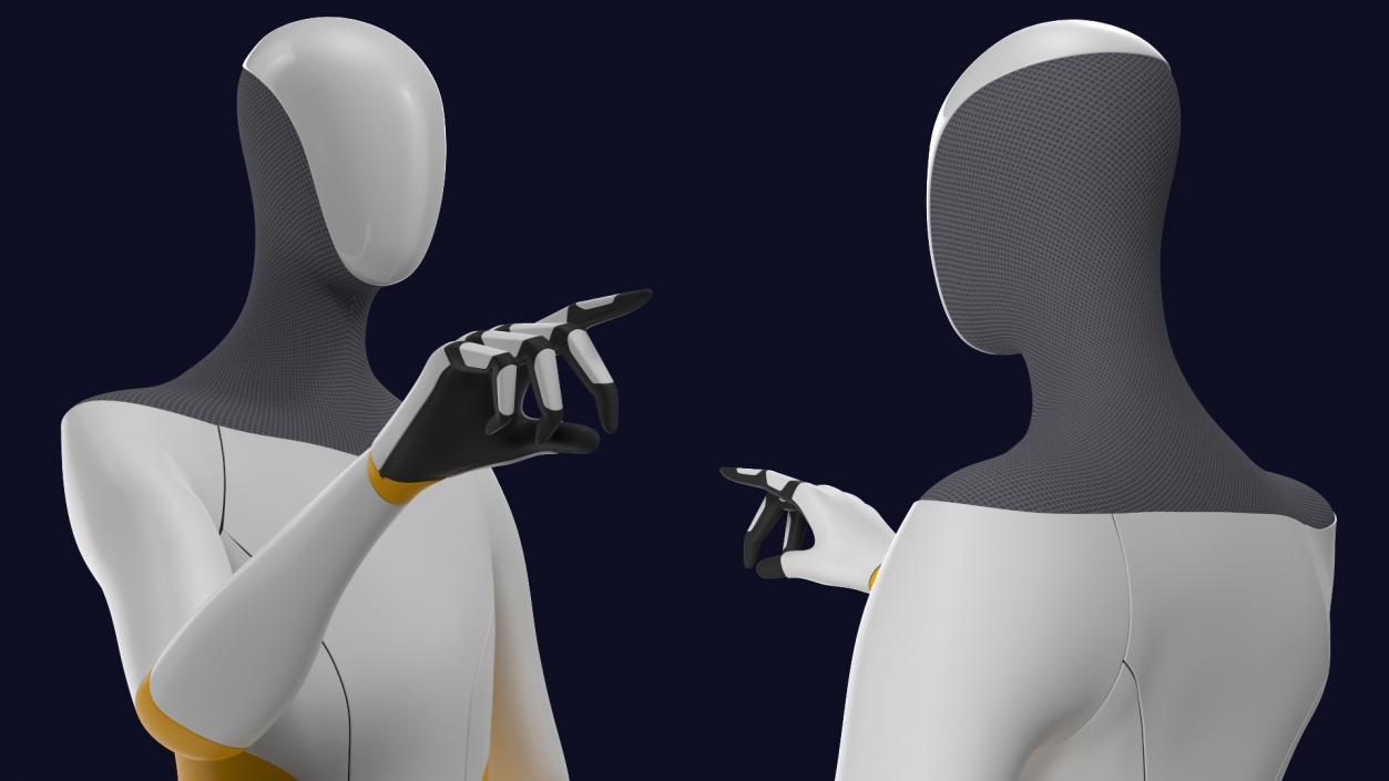 3D model Robotic Humanoid Pointing Pose