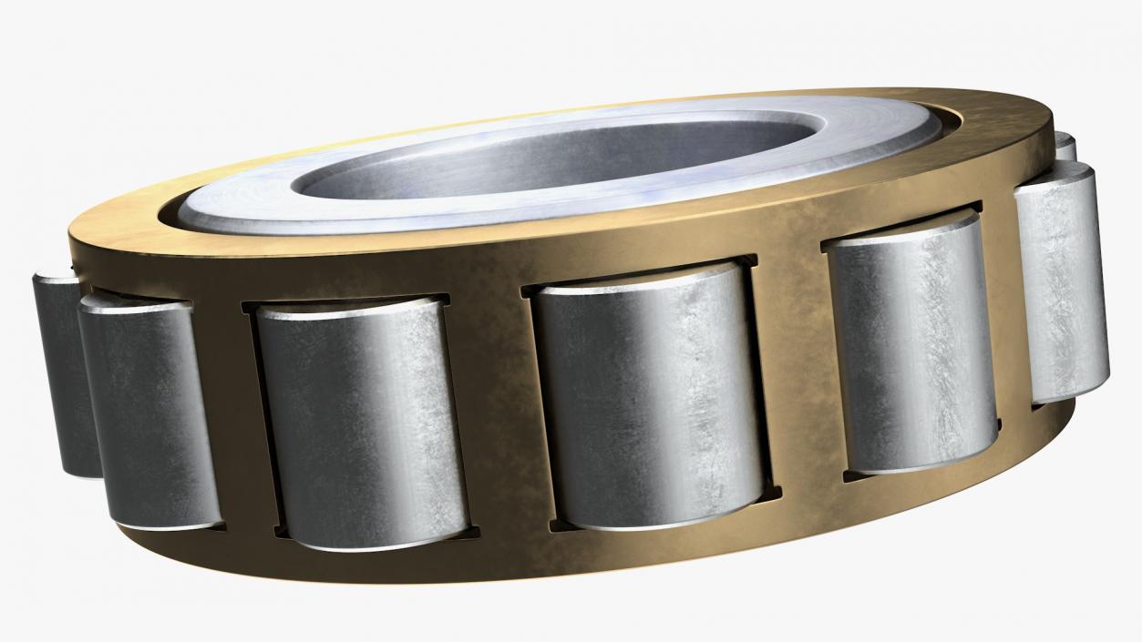 3D Roller Bearing Inside