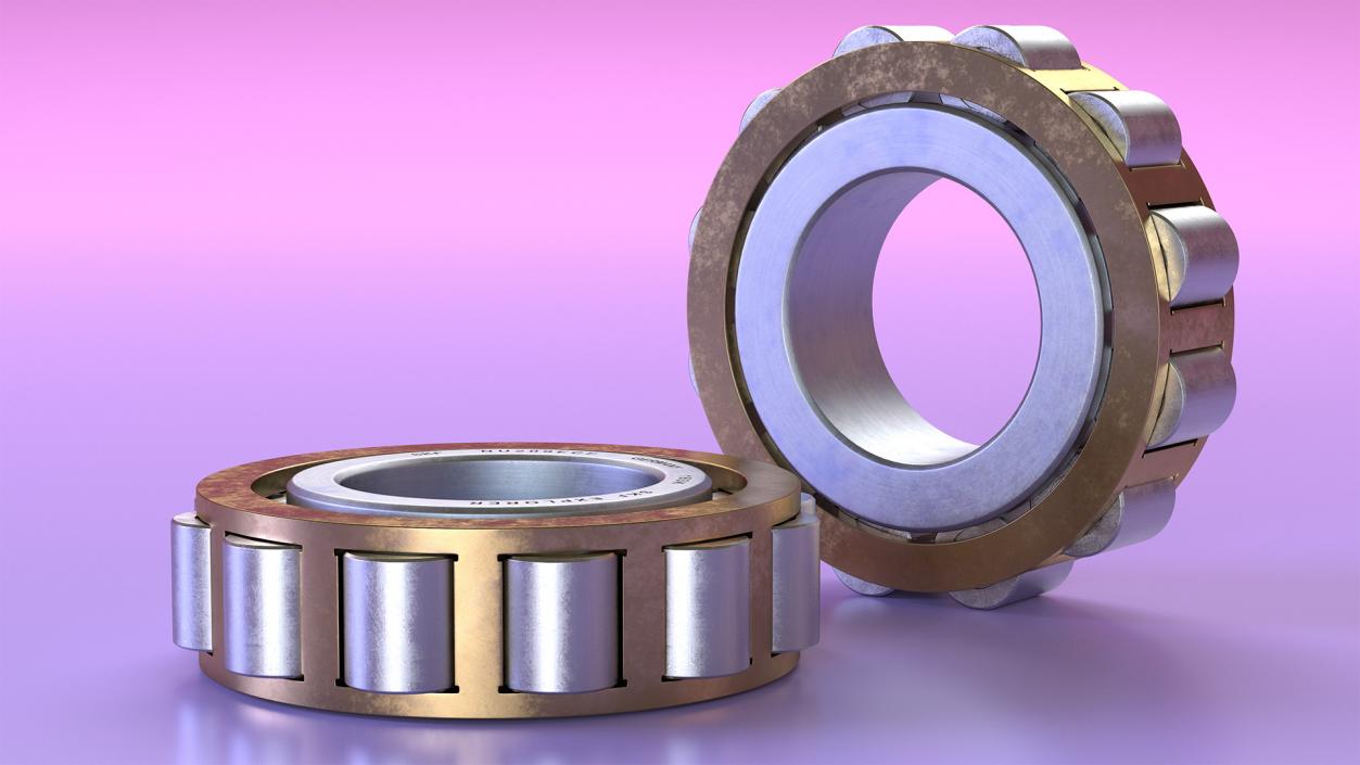 3D Roller Bearing Inside