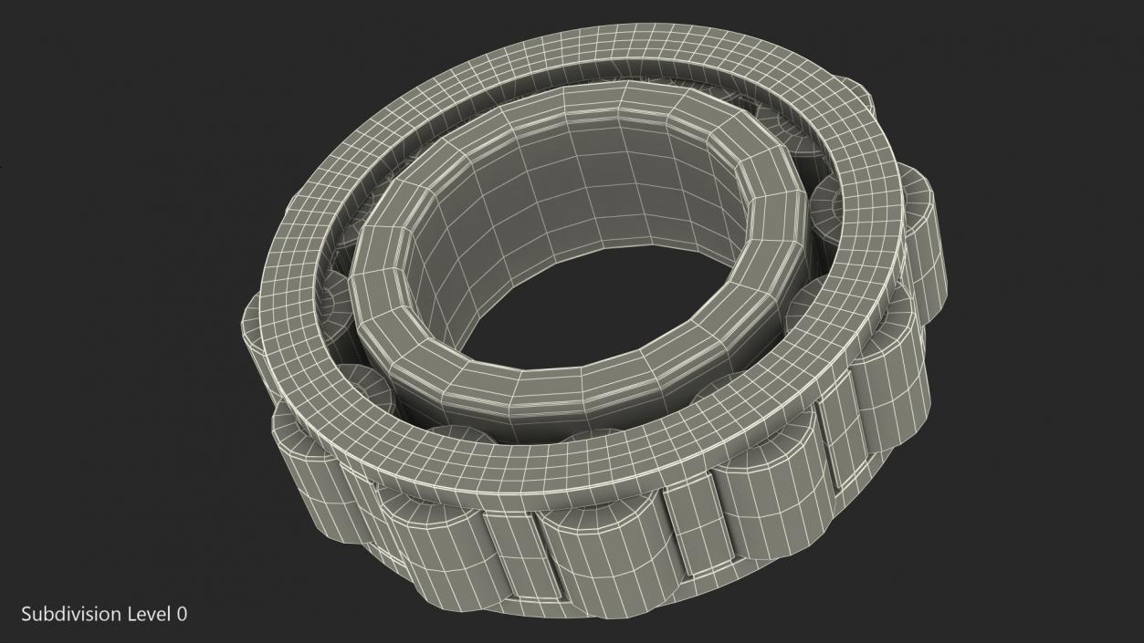 3D Roller Bearing Inside