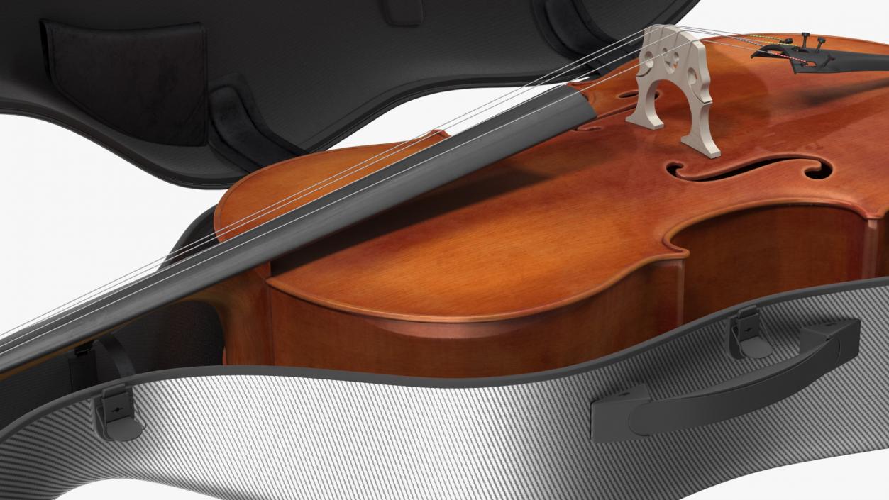 3D Cello Carbon Fiber Hard Case model