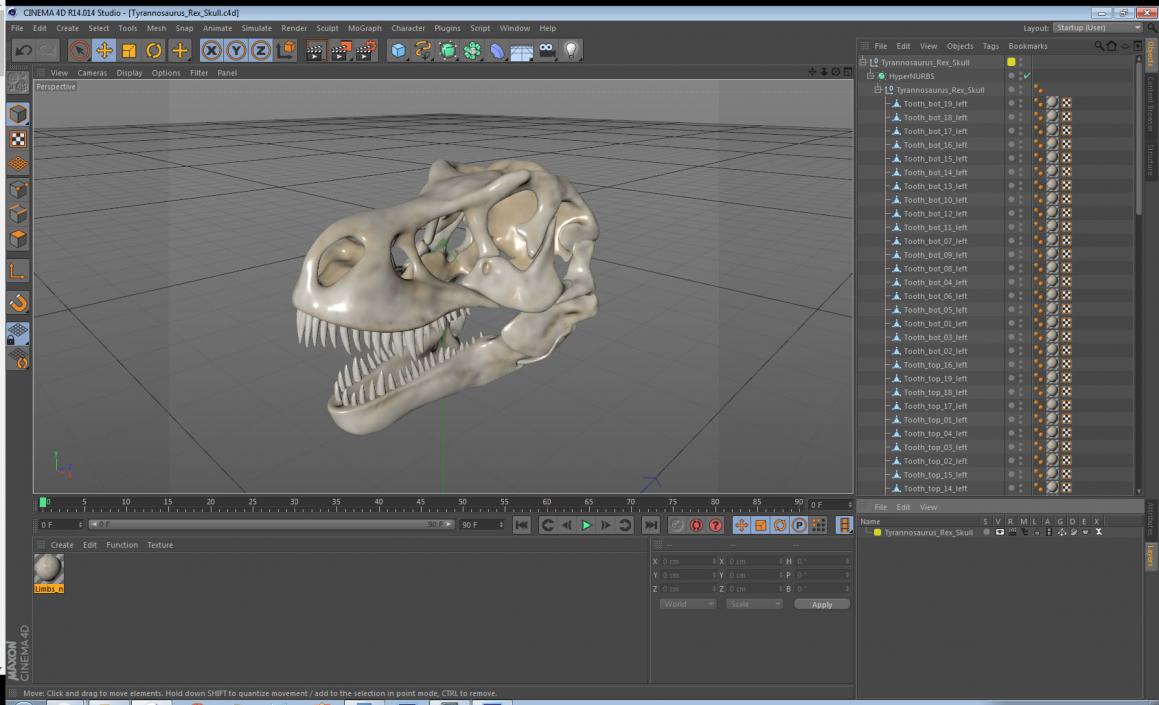 3D Tyrannosaurus Rex Skull model