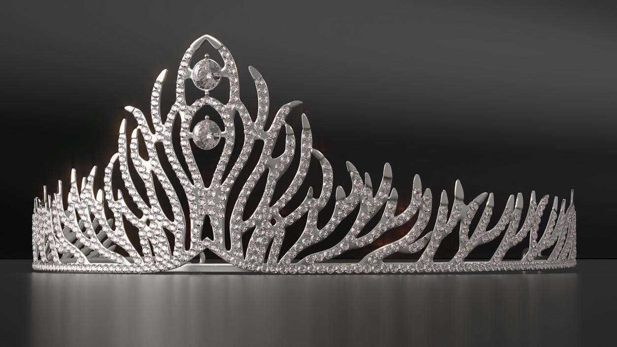 3D Silver Wedding Diadem