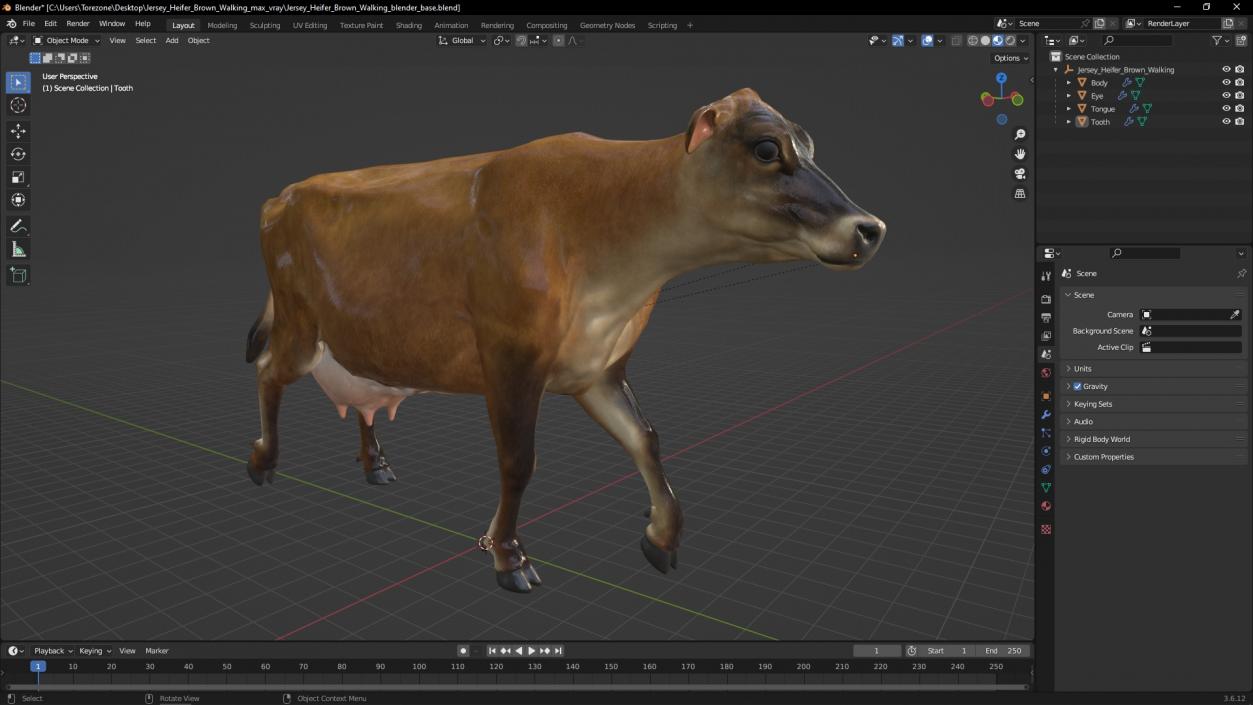 Jersey Heifer Brown Walking 3D