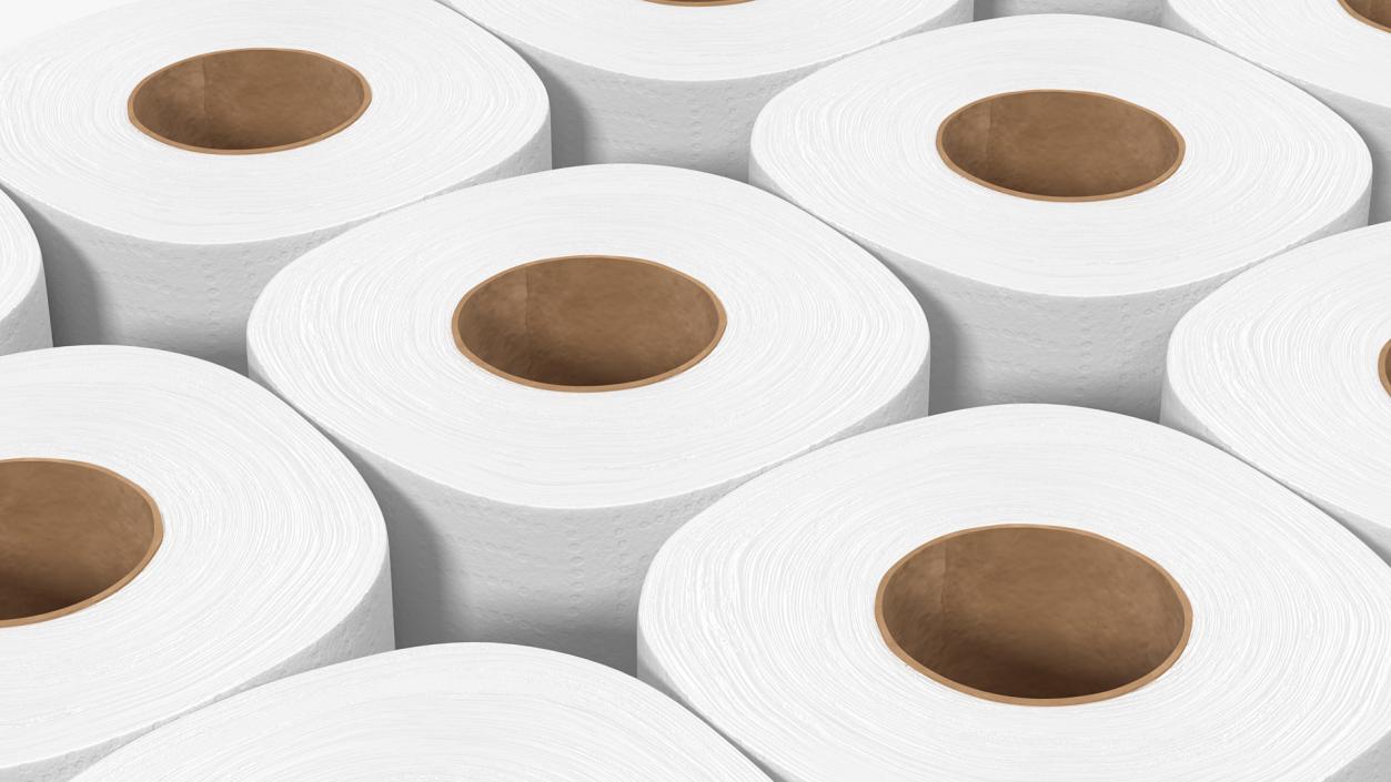 3D Scott Toilet Paper Roll 36 Pack