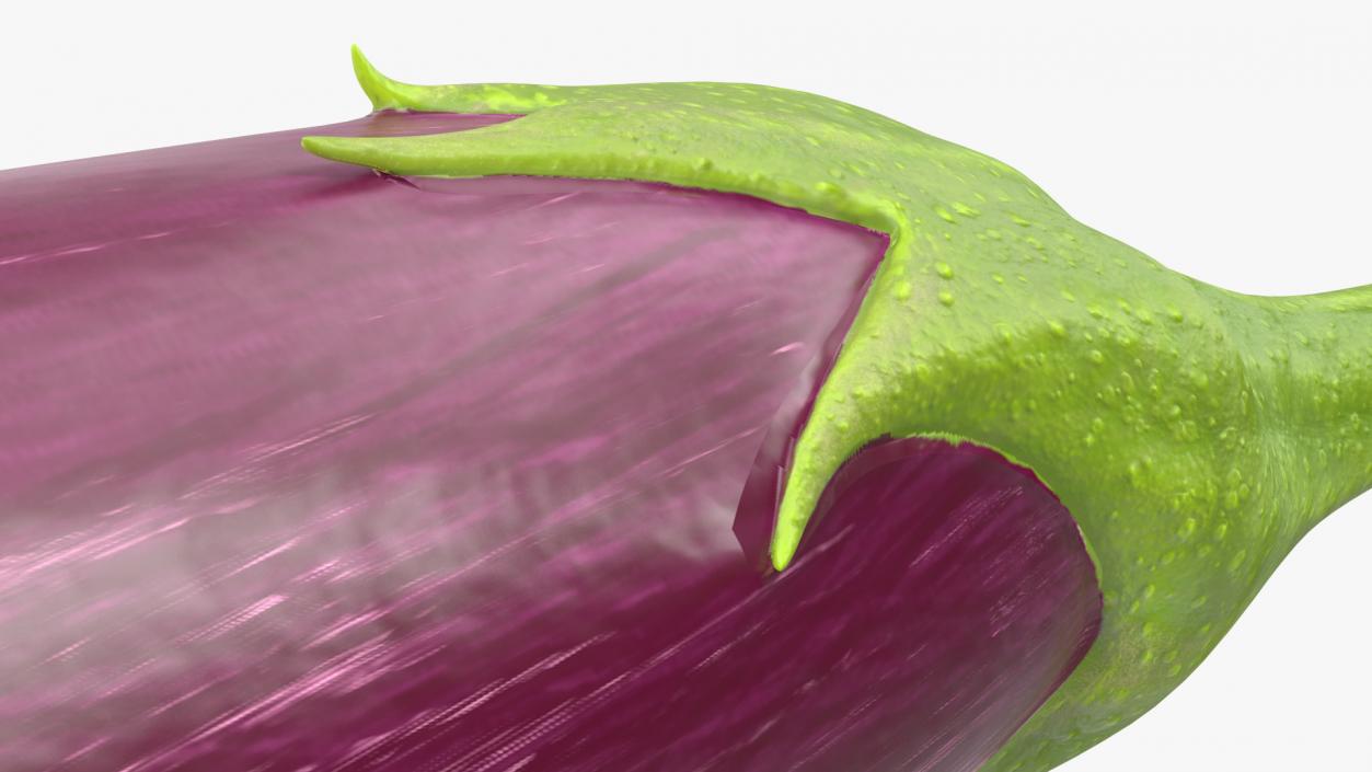 3D model Striped Graffiti Eggplant