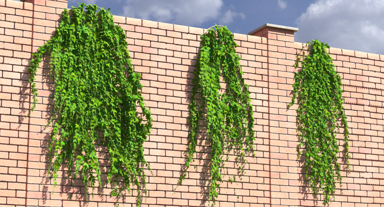 Ivy Hanging Greenery Bushes 3D