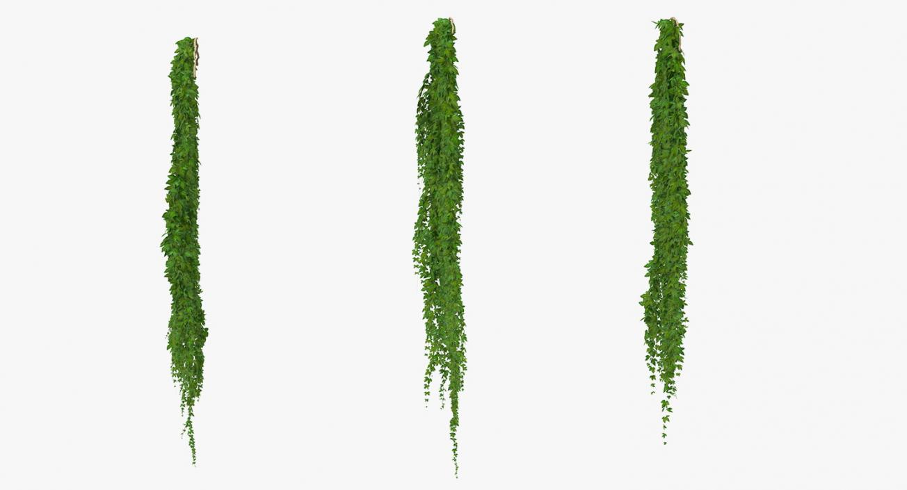 Ivy Hanging Greenery Bushes 3D