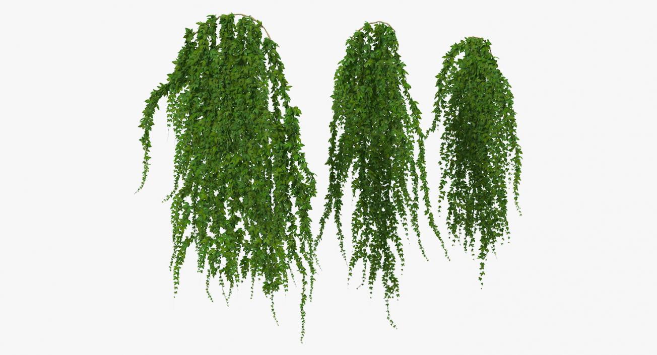 Ivy Hanging Greenery Bushes 3D