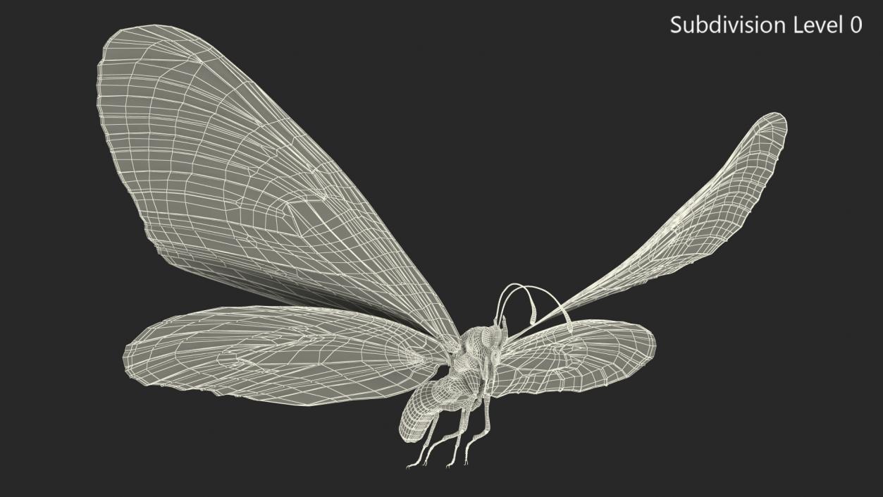 Animated Flying Monarch Butterfly Fur Rigged 3D model