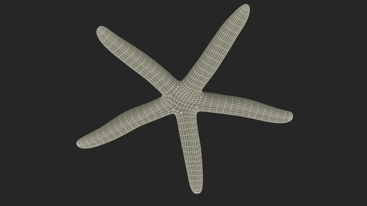 3D model Red Sea Star Rigged for Cinema 4D 2