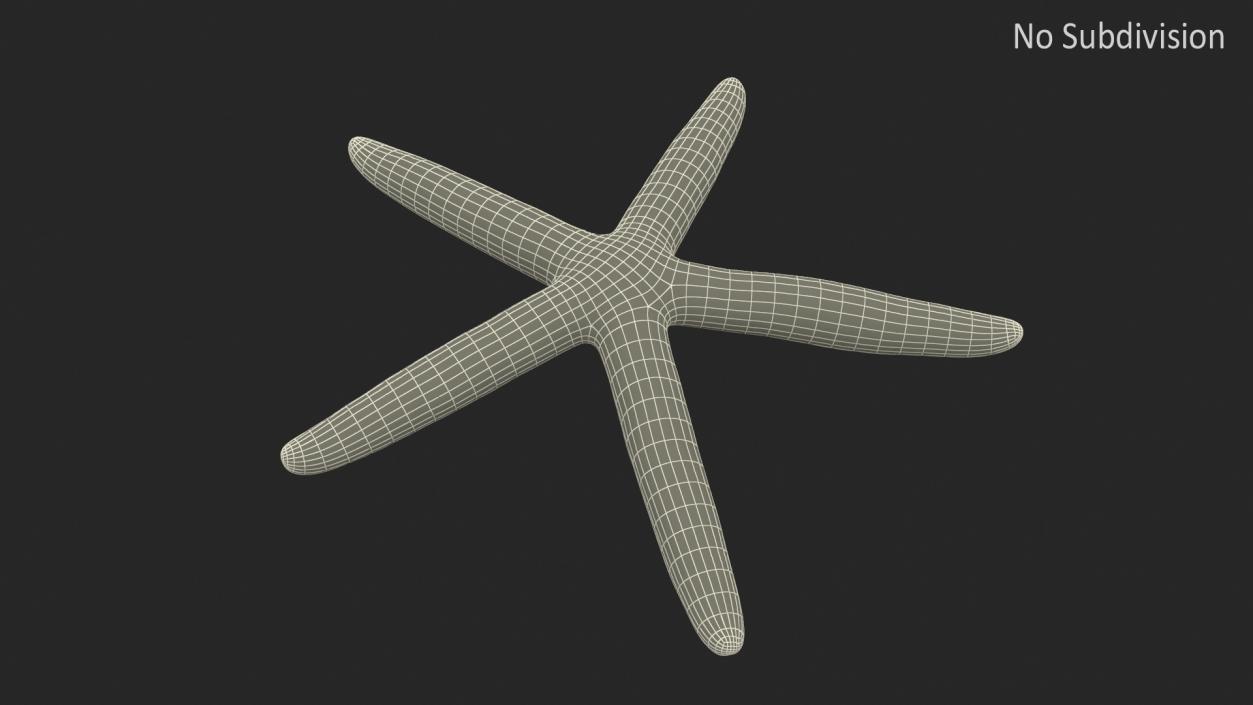 3D model Red Sea Star Rigged for Cinema 4D 2