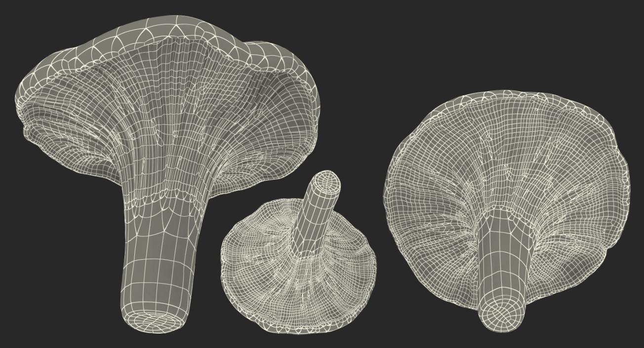 3D model Chanterelle Mushrooms Set