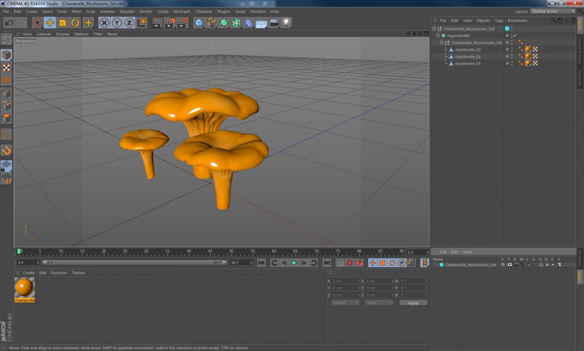 3D model Chanterelle Mushrooms Set