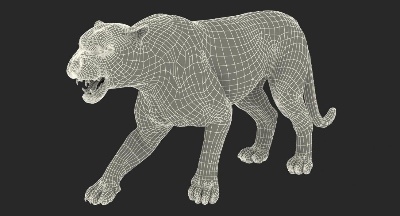 White Tiger Rigged with Fur 3D