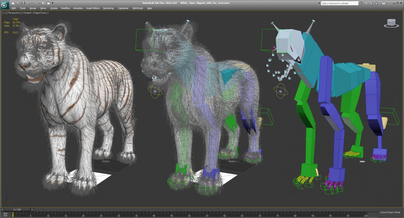 White Tiger Rigged with Fur 3D