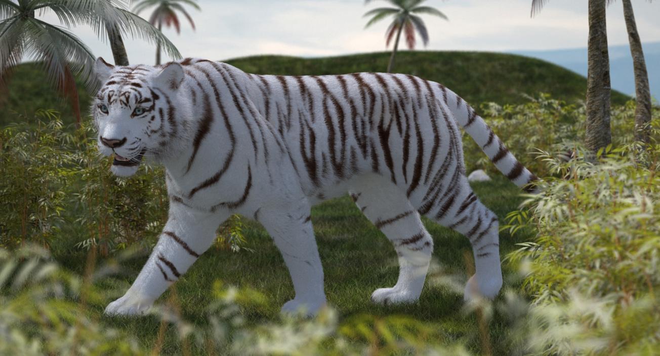 White Tiger Rigged with Fur 3D