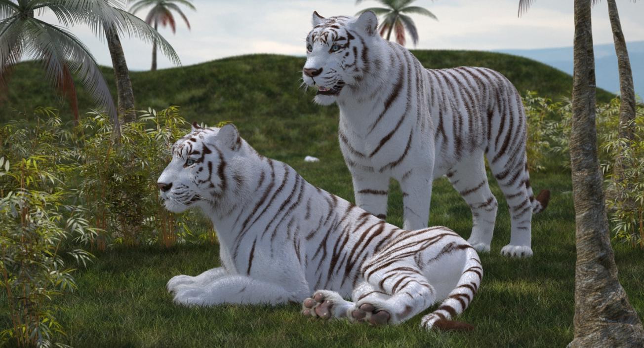 White Tiger Rigged with Fur 3D