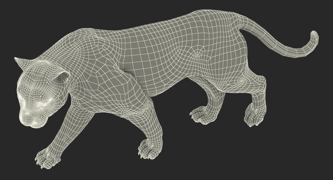 White Tiger Rigged with Fur 3D