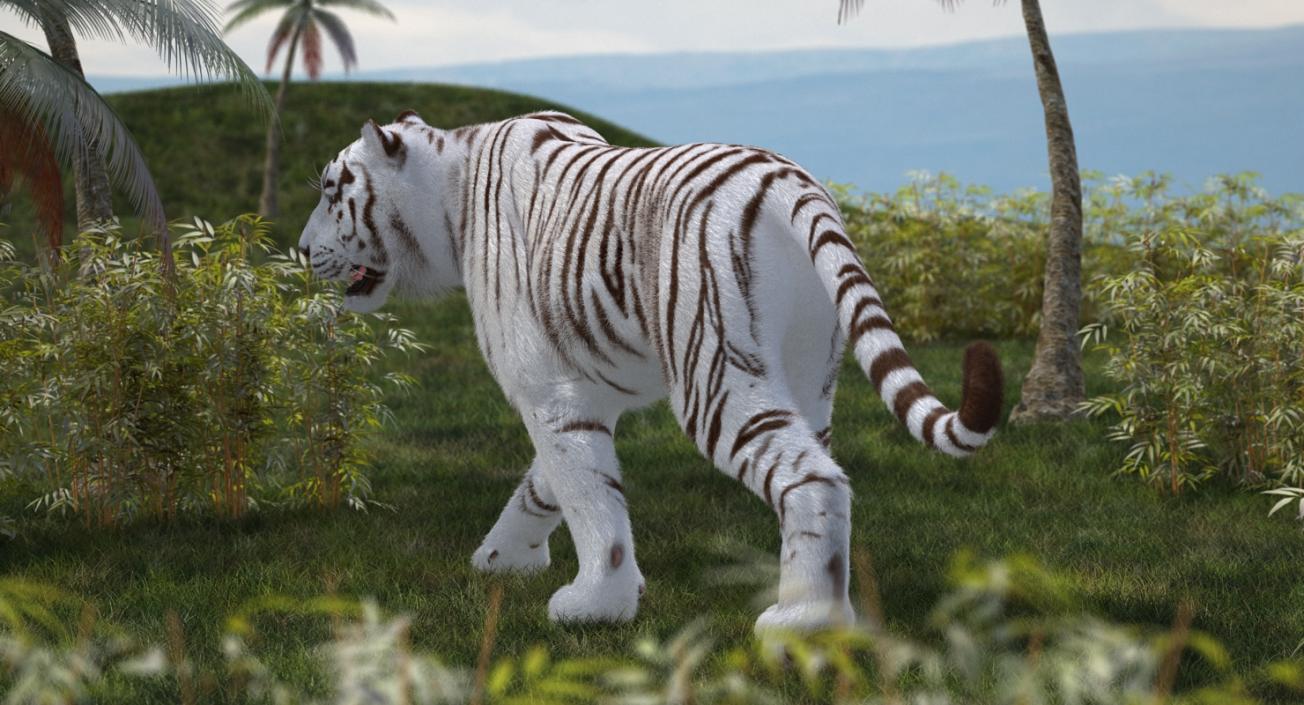 White Tiger Rigged with Fur 3D