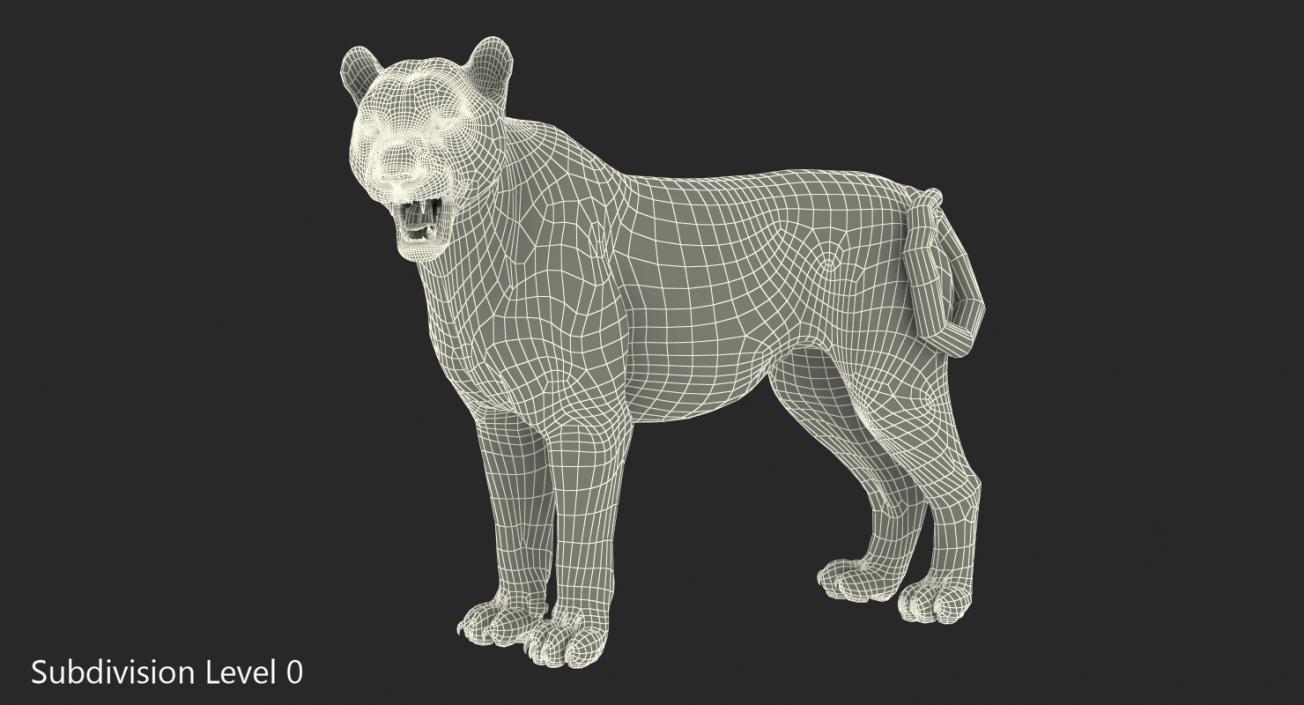 White Tiger Rigged with Fur 3D