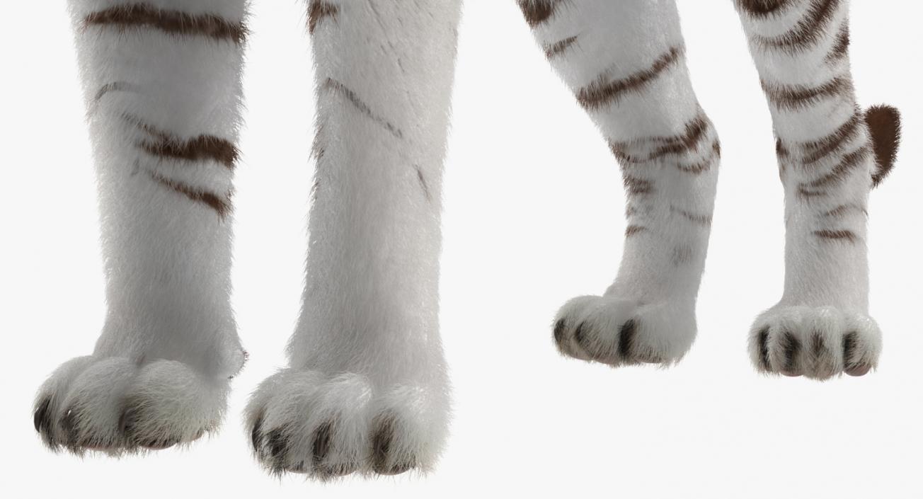 White Tiger Rigged with Fur 3D