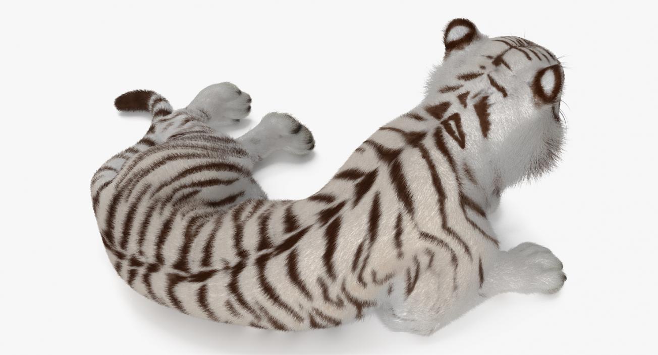 White Tiger Rigged with Fur 3D