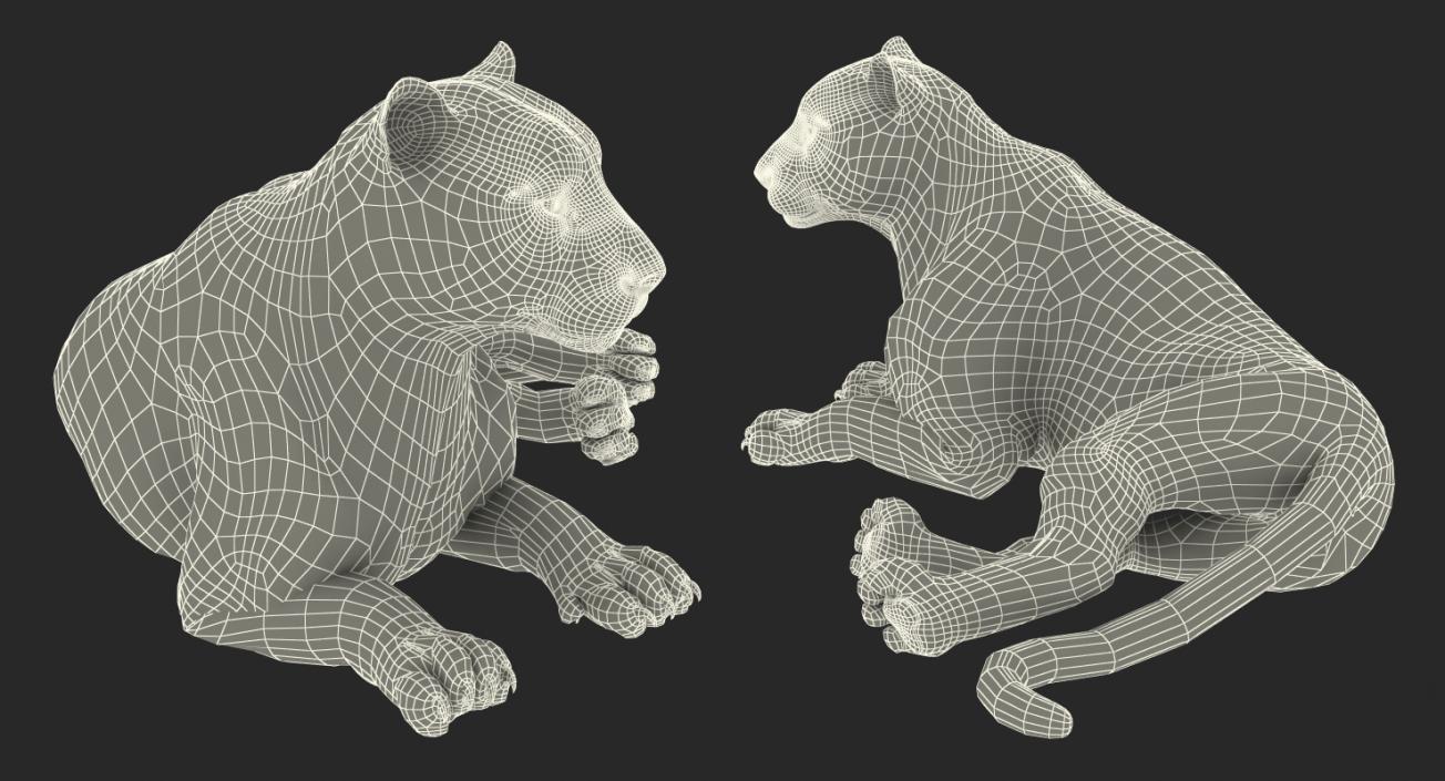 White Tiger Rigged with Fur 3D