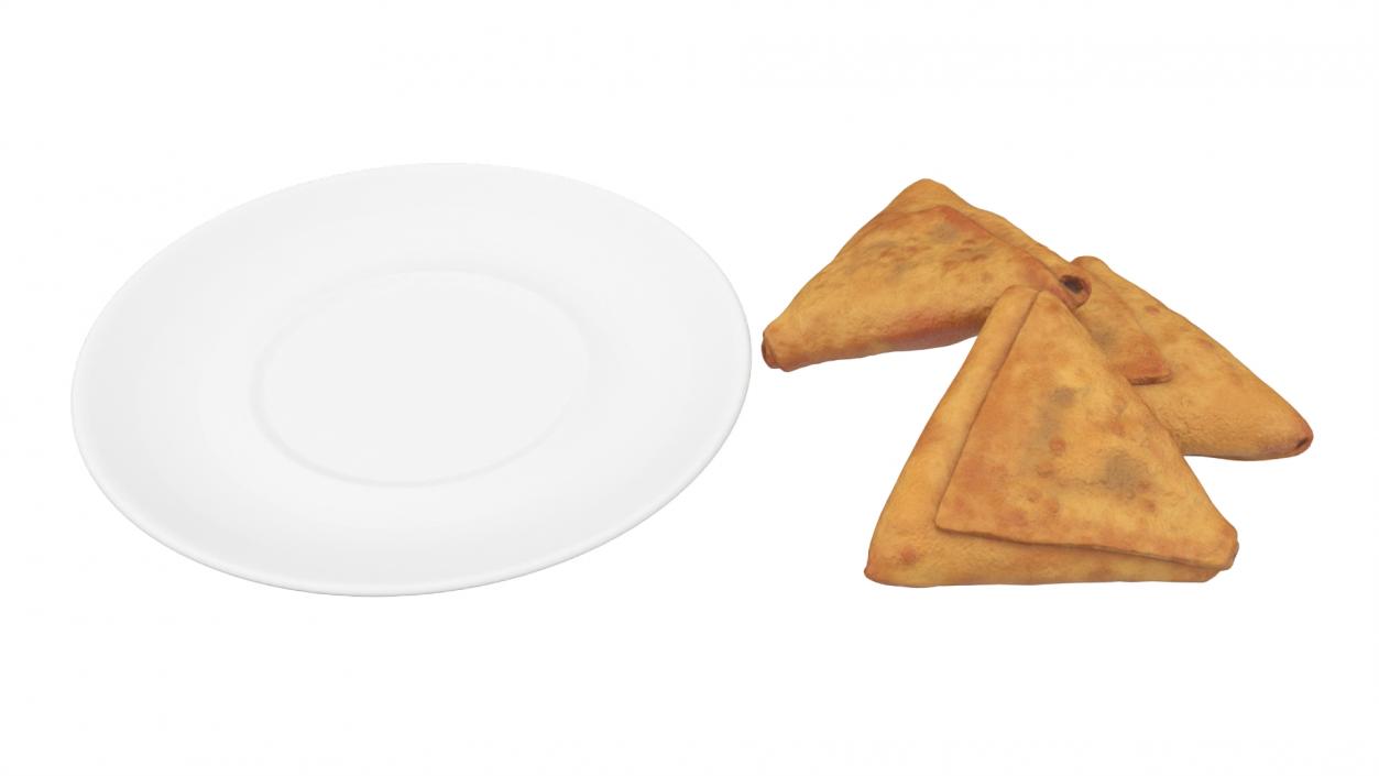 3D Samosa on White Plate