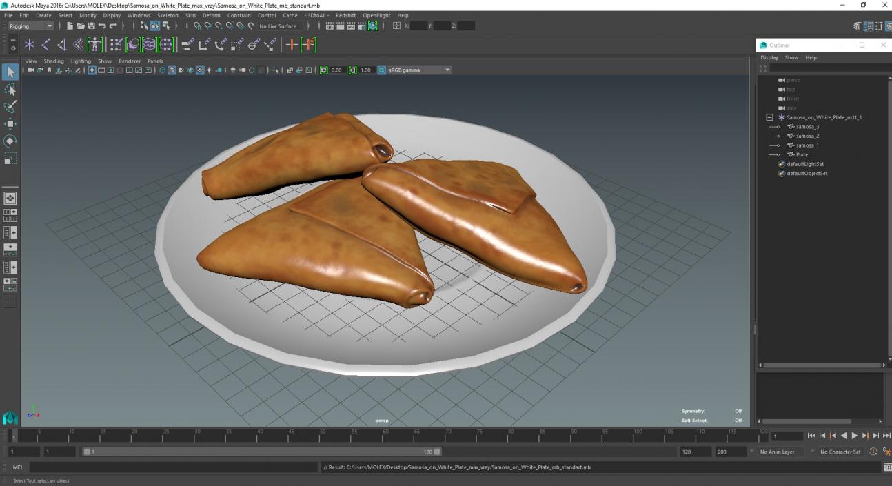 3D Samosa on White Plate