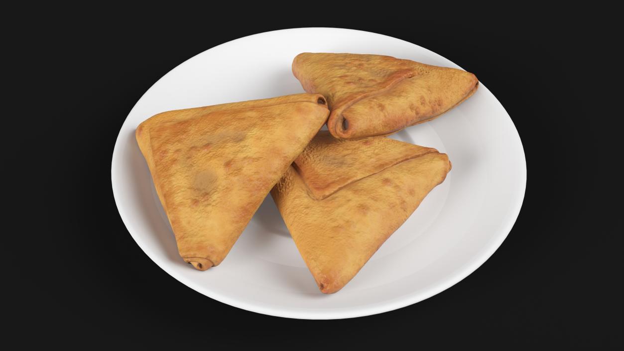 3D Samosa on White Plate