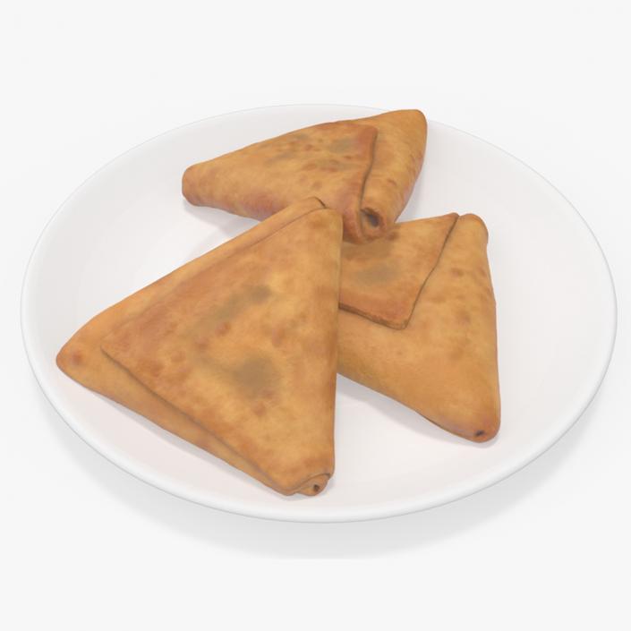 3D Samosa on White Plate