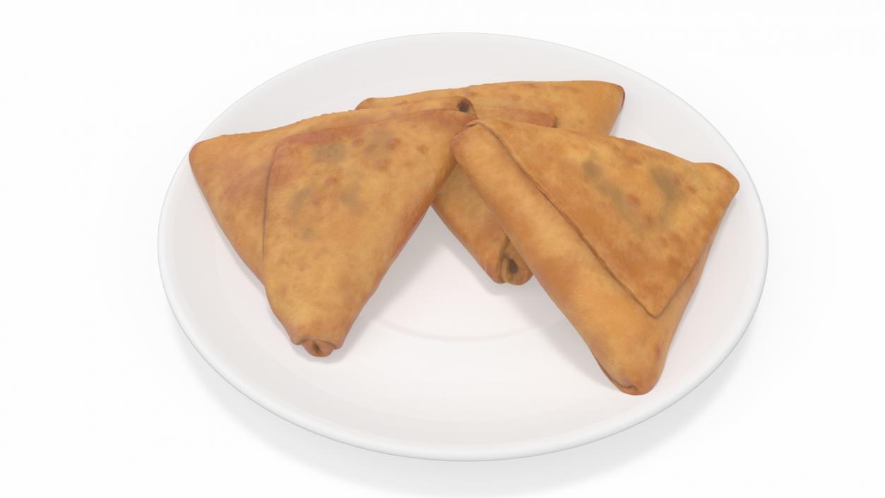 3D Samosa on White Plate