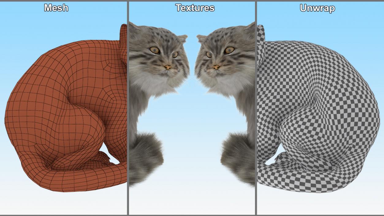 Manul Cat in Sitting Fur 3D model