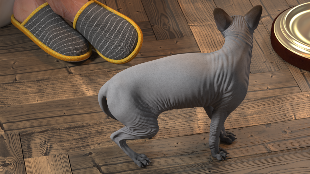 3D Sphynx Cat Black