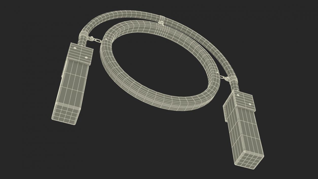 Hanging Ring for Dog Training Park 3D model