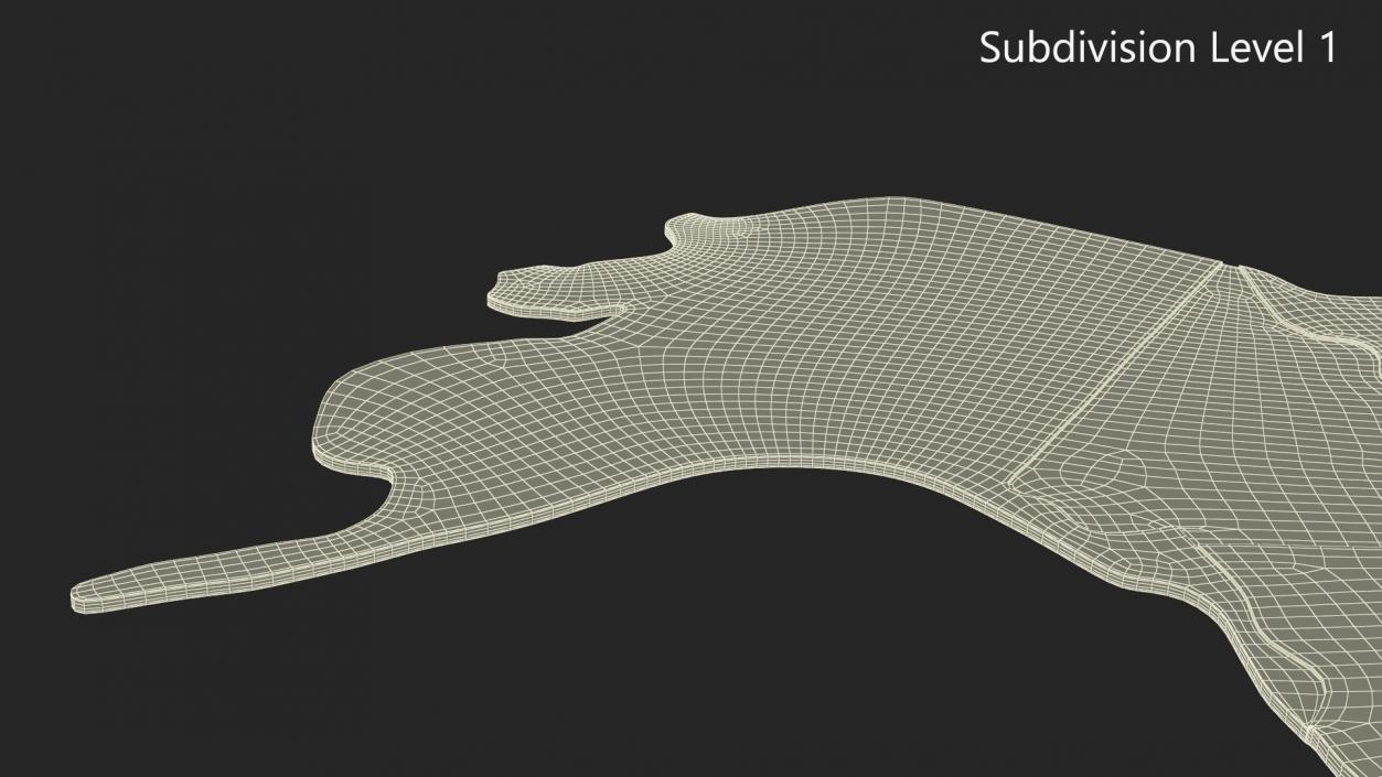 Wood Created World Map 2 3D model