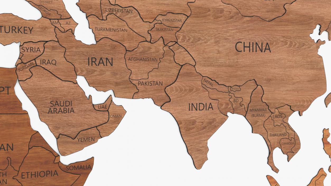 Wood Created World Map 2 3D model