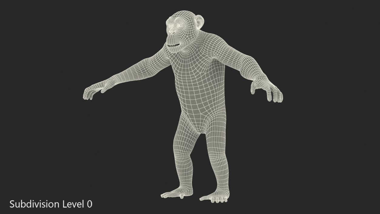 3D Chimpanzee T-Pose Dark Fur