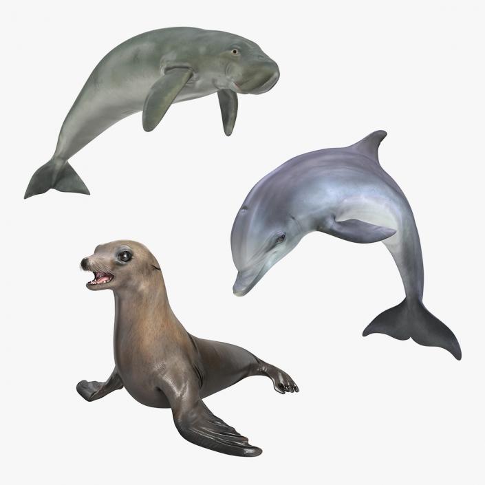 Marine Mammals Collection 2 3D